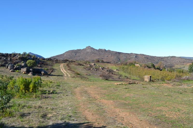 5 Bedroom Property for Sale in Piketberg Rural Western Cape